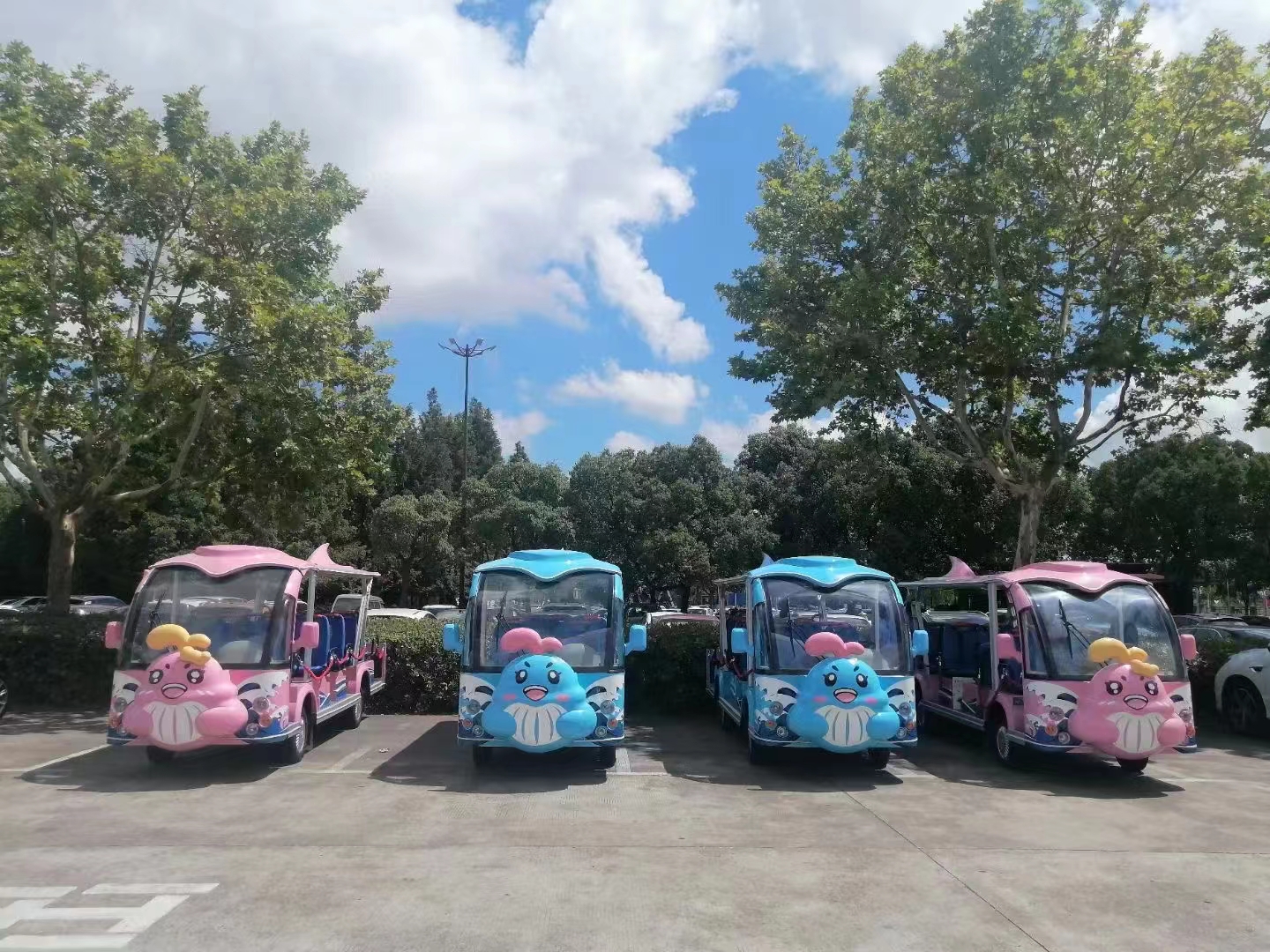 11座电动观光车 缩略图 8