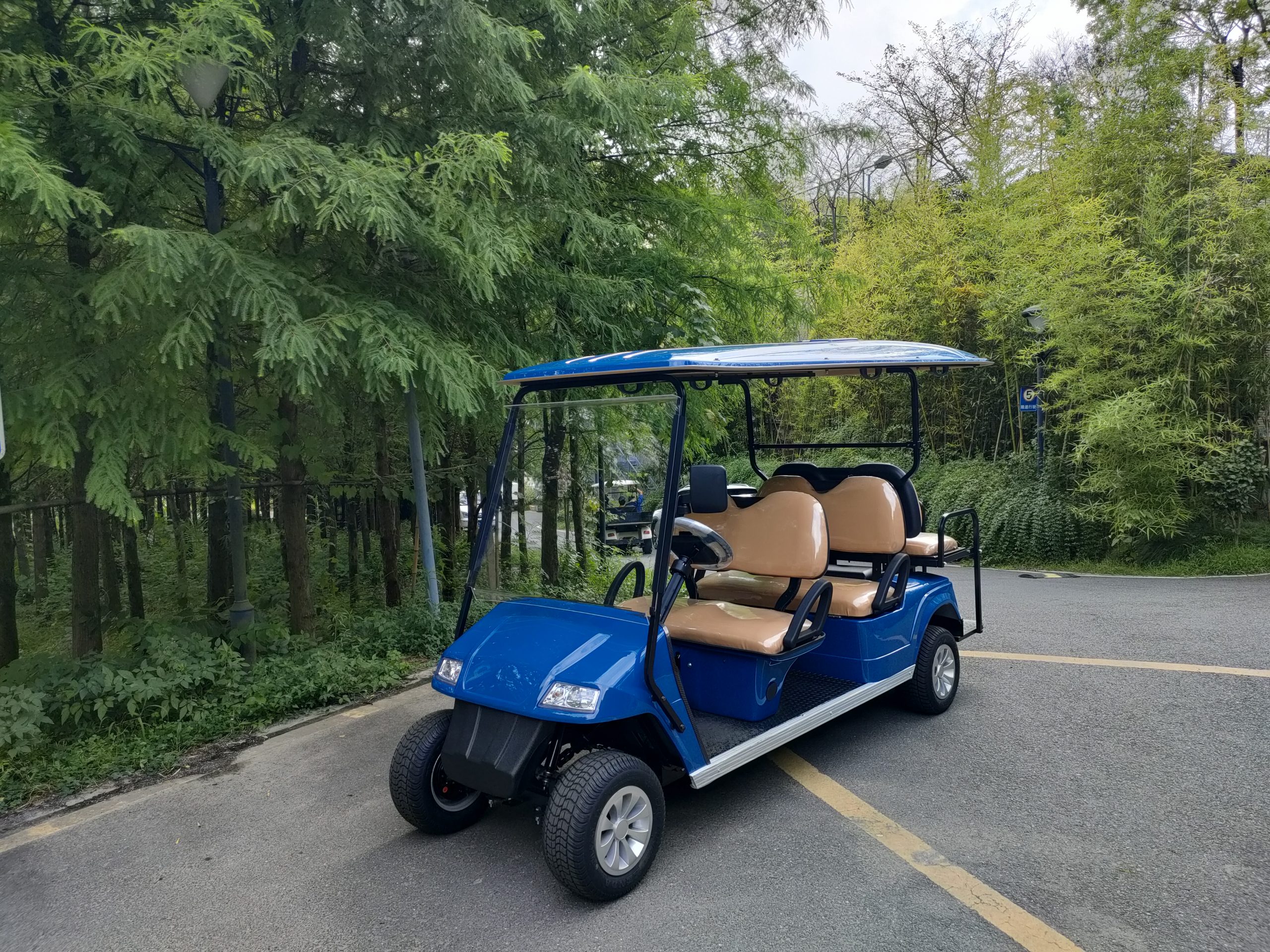 EG2048KSZ 4+2座高尔夫球车 缩略图 5